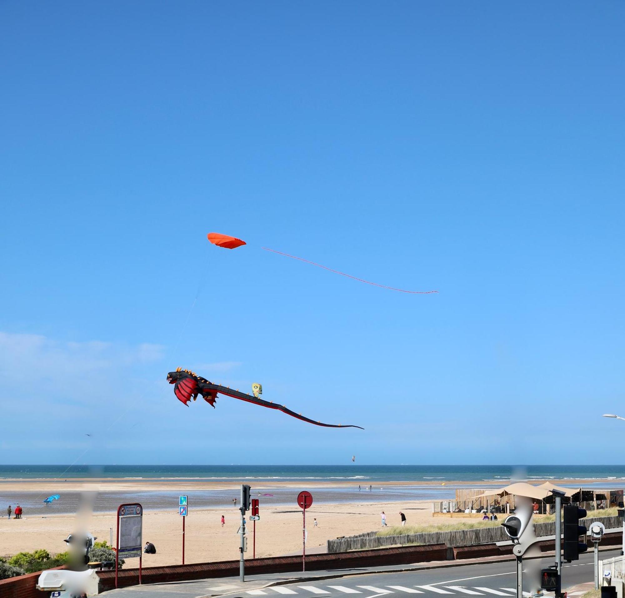 Nid Douillet A 30 Metres De La Grande De - La Vague - * Houlgate